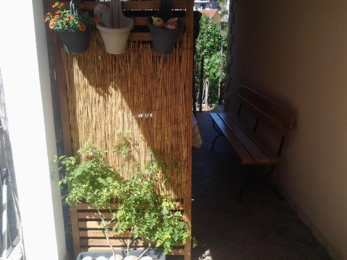 Apartment Mile Šibenik Eksteriør billede